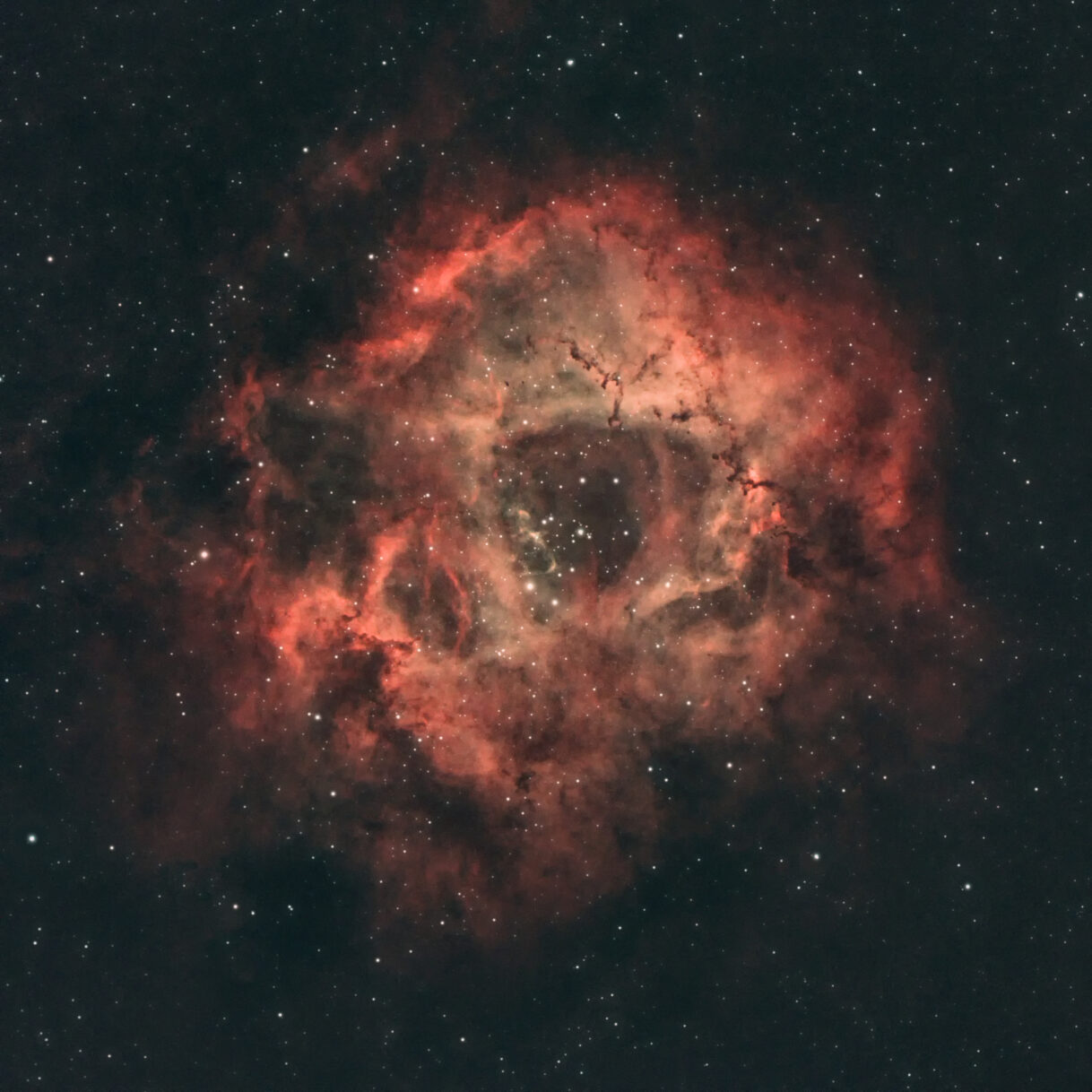 Rosette Nebula (NGC2237)